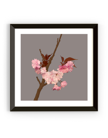 MY SHOP COLLECTION Framed Print- Cherry Blossom