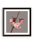 MY SHOP COLLECTION Framed Print- Cherry Blossom