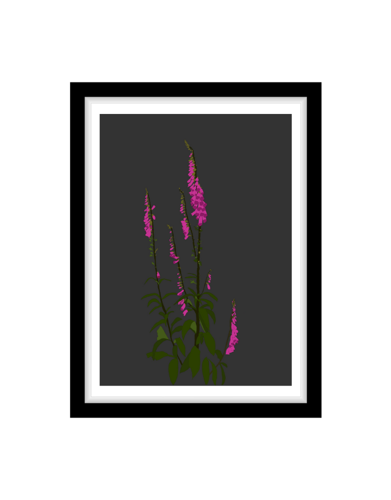 MY SHOP COLLECTION Framed A4 Print - Foxgloves