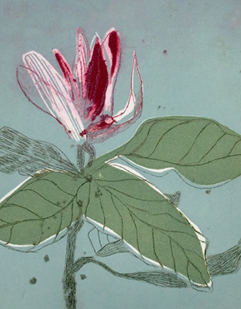 ART CARDS Card -  Magnolia On Blue
