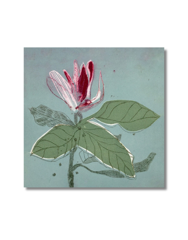ART CARDS Card -  Magnolia On Blue