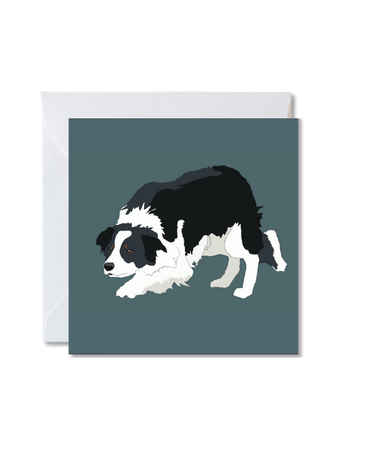 MY SHOP COLLECTION Card - Herding