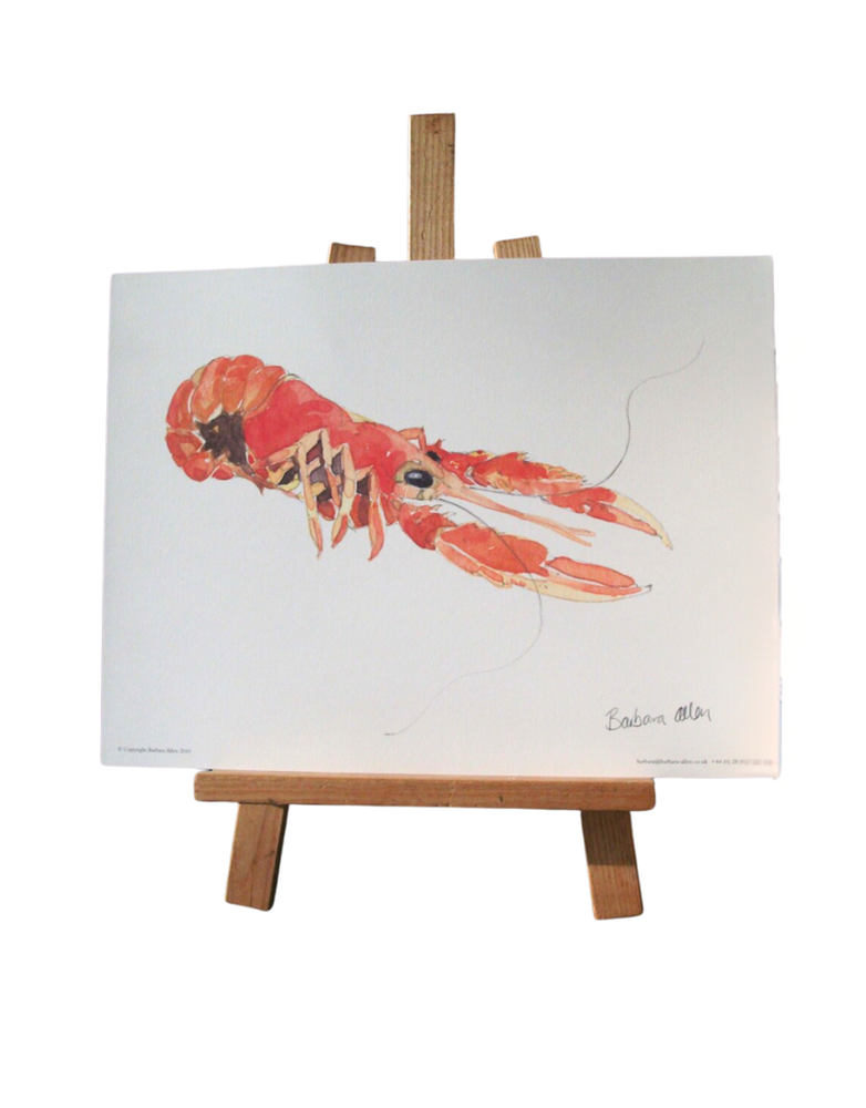 BARBARA ALLEN Langoustine Print- A3