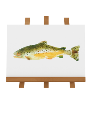 BARBARA ALLEN Brown Trout Print- A3