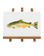 BARBARA ALLEN Brown Trout Print- A3