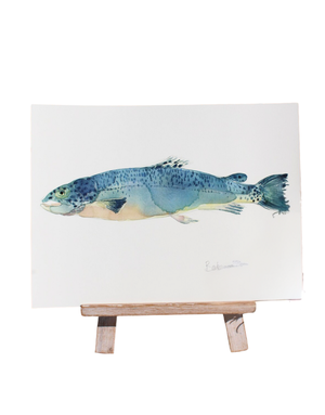 BARBARA ALLEN Salmon Print- A3