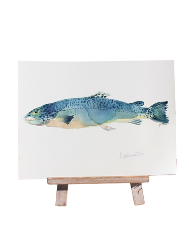 BARBARA ALLEN Salmon Print- A3