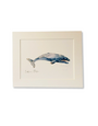 BARBARA ALLEN Grey Whale Print- A5