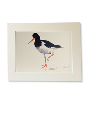 BARBARA ALLEN Oystercatcher Print- A5