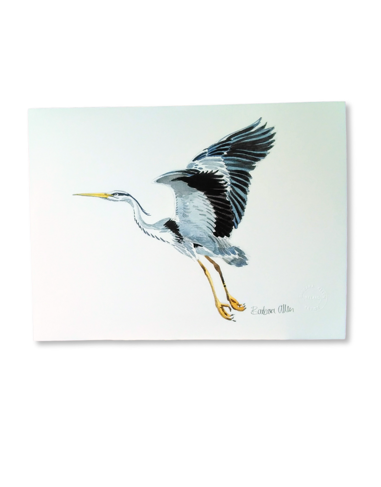 BARBARA ALLEN Heron Print- A3