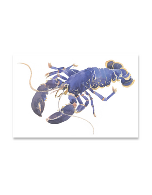 BARBARA ALLEN Lobster Print- A3