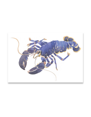 BARBARA ALLEN Lobster Print- A3