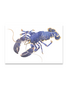 BARBARA ALLEN Lobster Print- A3