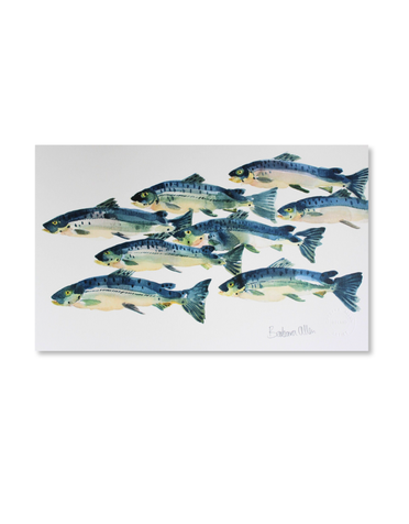 BARBARA ALLEN Salmon Run Print- A3