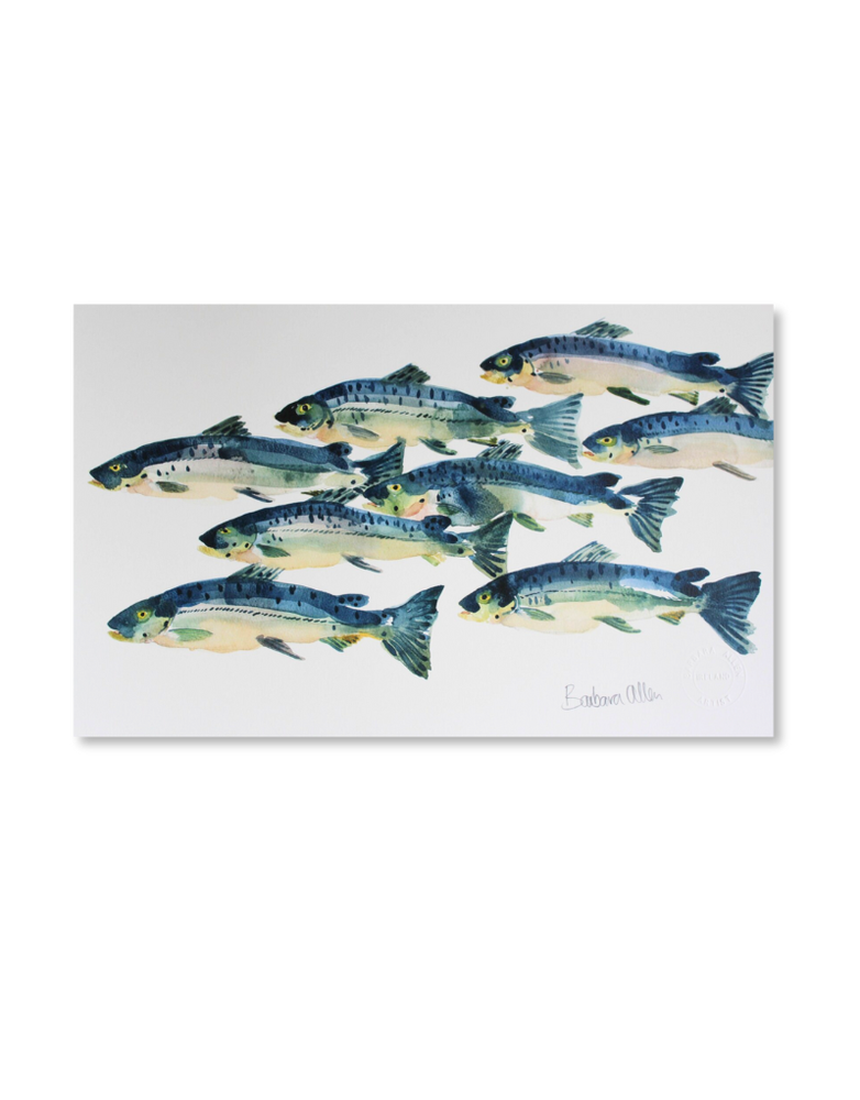 BARBARA ALLEN Salmon Run Print- A3
