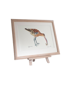 BARBARA ALLEN Curlew Print -A3