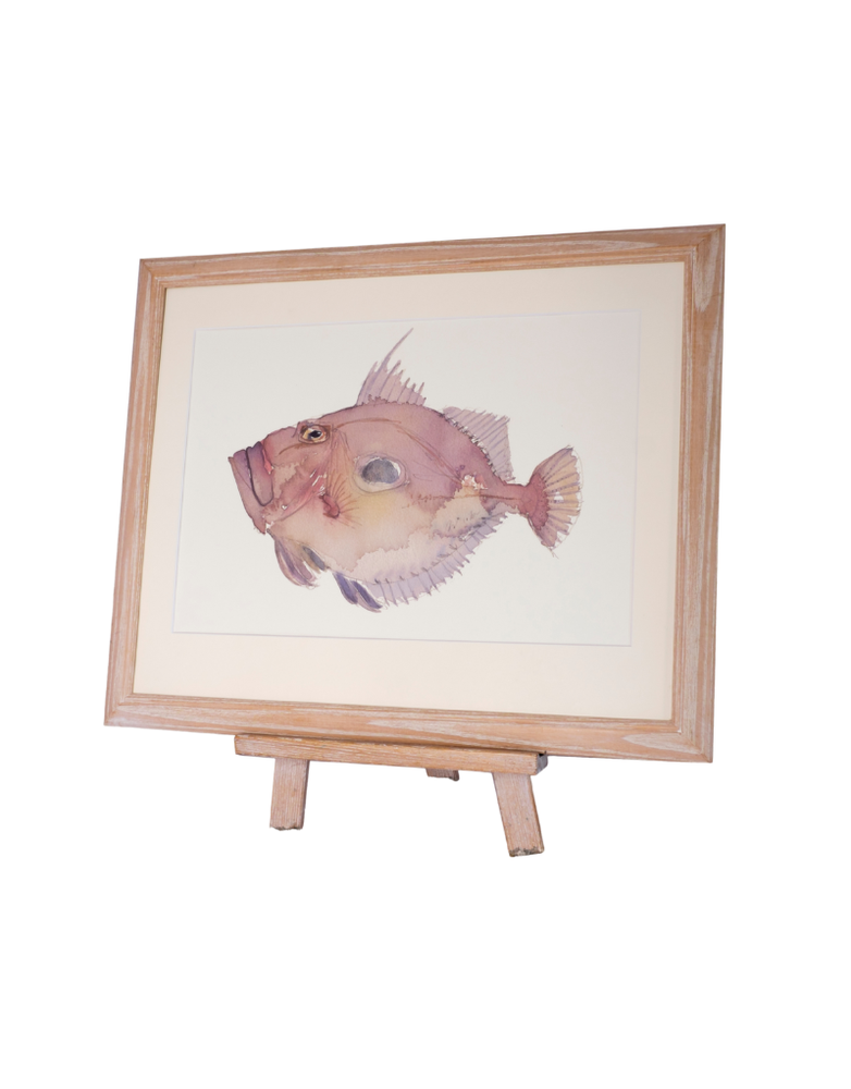 BARBARA ALLEN JohnDory Print- A3