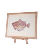BARBARA ALLEN JohnDory Print- A3