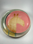 KARO ART Plate Small - Horse