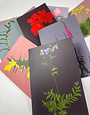 MY SHOP COLLECTION Flowers Mini Cards -Pack of 9