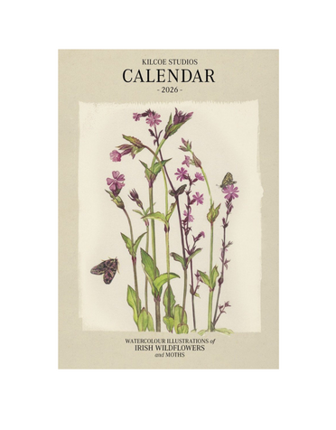 KILCOE STUDIOS Calendar 2026 - Irish Wildflowers and Moths