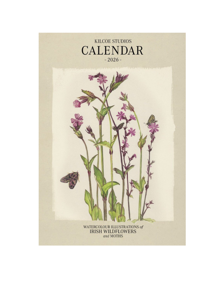 KILCOE STUDIOS Calendar 2026 - Irish Wildflowers and Moths