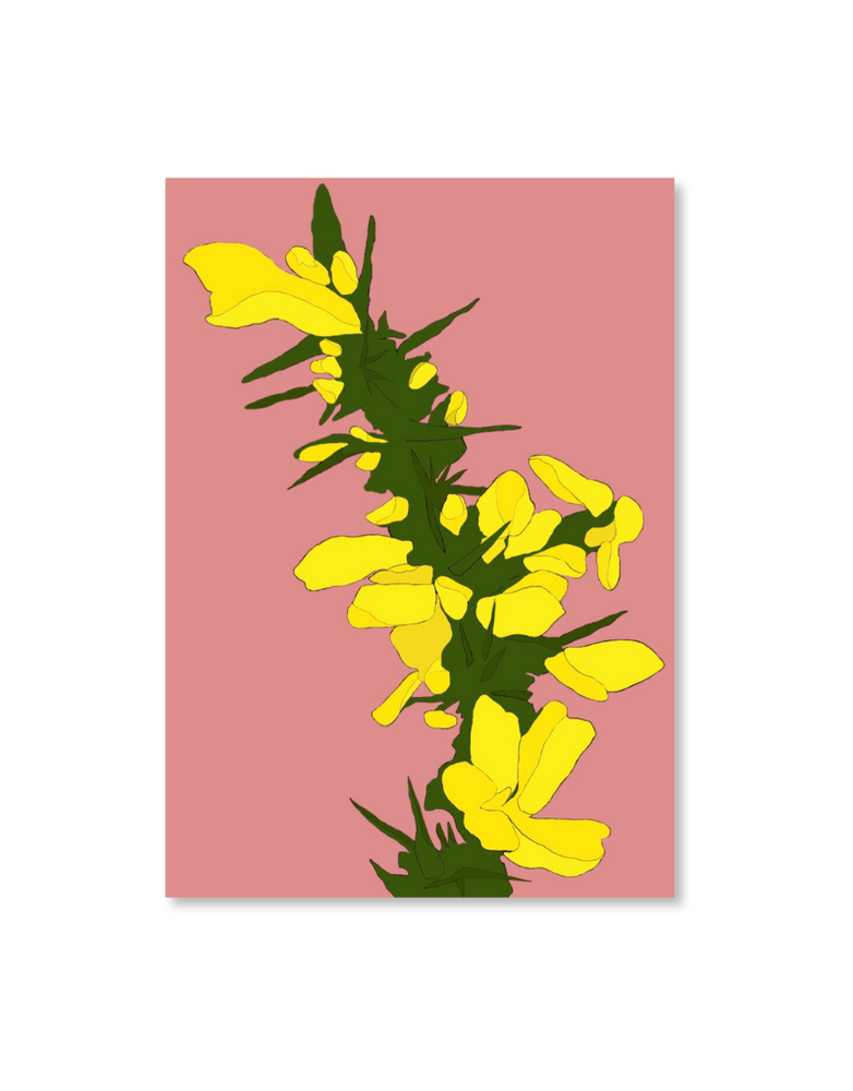 MY SHOP COLLECTION A4 Print- Gorse