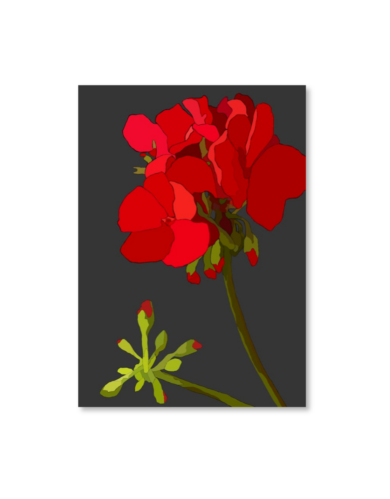 MY SHOP COLLECTION A4 Print- Geranium
