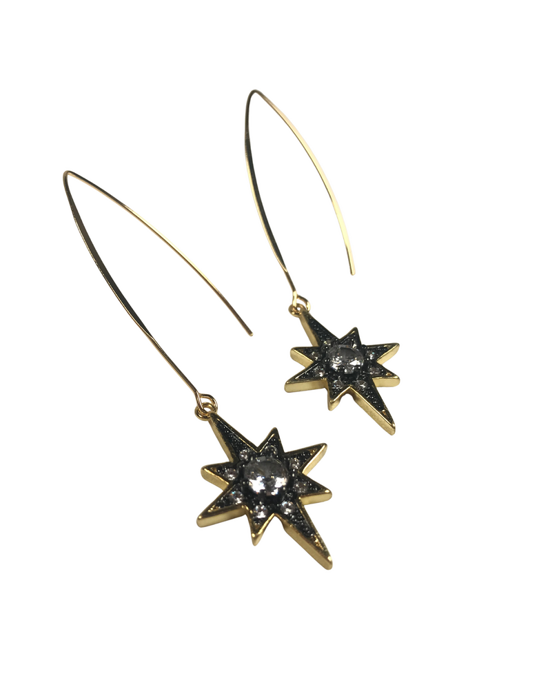 ANGELA D'ARCY Compass Star Gunmetal Long Hook Earrings