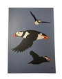 MY SHOP COLLECTION Notebook - Puffins