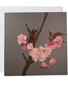 MY SHOP COLLECTION Card - Cherry Blossom