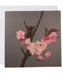 MY SHOP COLLECTION Card - Cherry Blossom