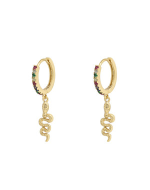 Yehwang Oorbellen shiny snake | Goud-Multicolor