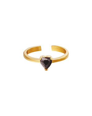 Yehwang Ring Elegant | Zwart
