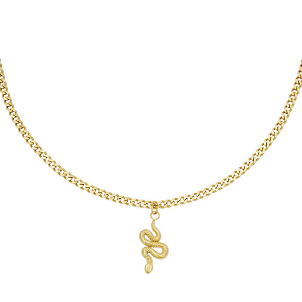 Yehwang Ketting Slang | Goud