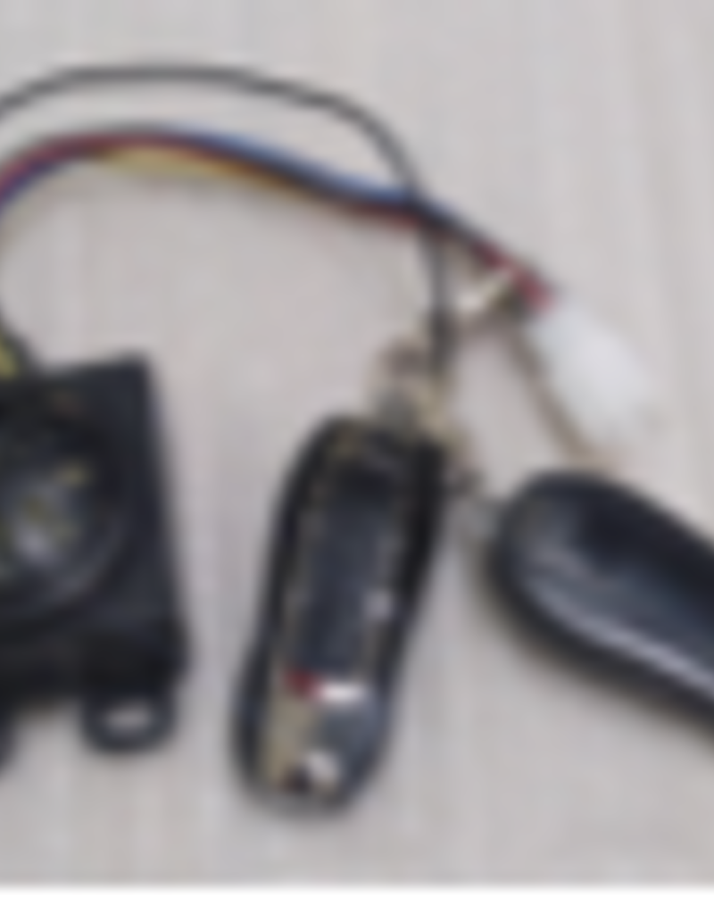Colibri - Alarm module + 2 afstandbedieningen