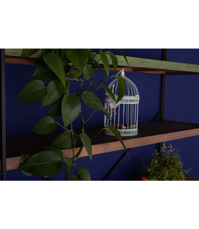 Rootsmann Industrieregal | Mittel