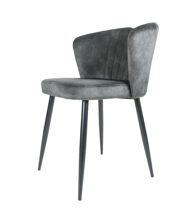 Rootsmann Esszimmerstuhl Anna Samt | Dunkelgrau