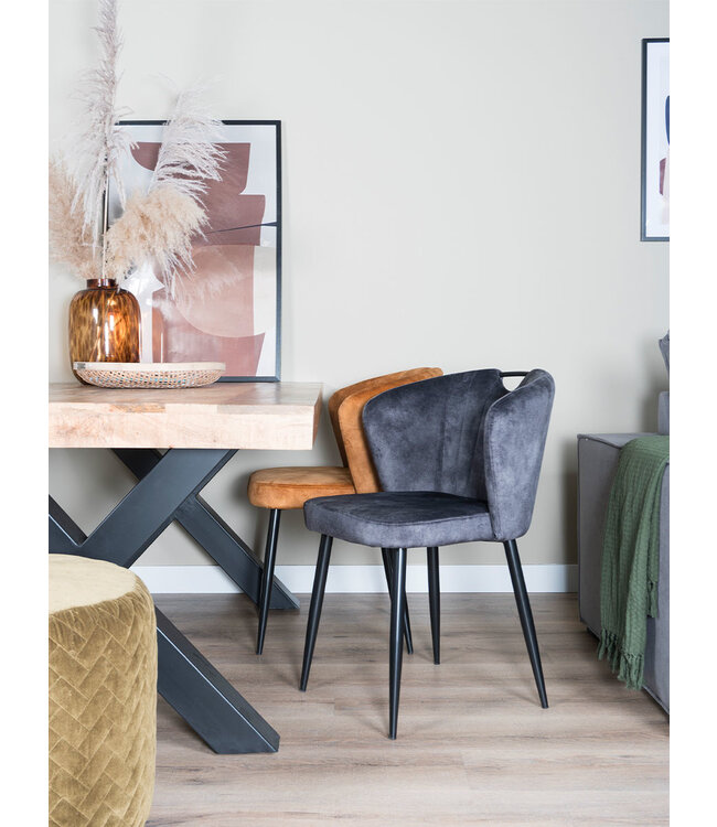 Rootsmann Esszimmerstuhl Anna Samt | Dunkelgrau