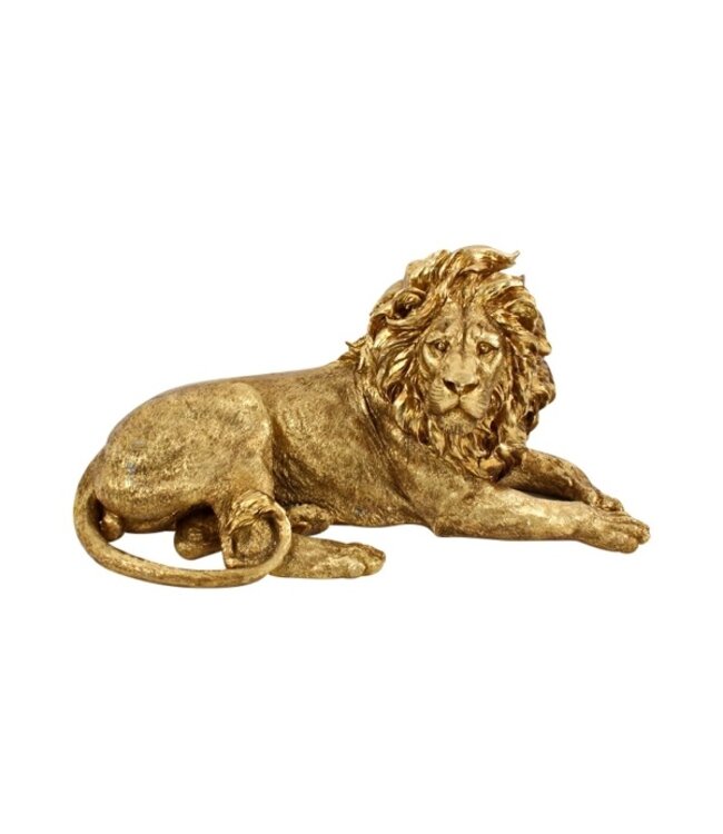 Rootsmann Löwe 80 | Gold