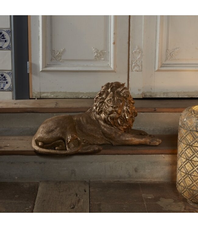 Rootsmann Löwe 80 | Gold