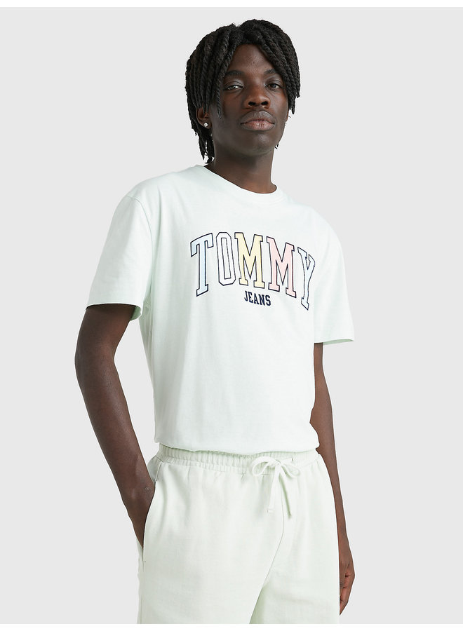 T-Shirt DM0DM16401 Tee - LXW Minty