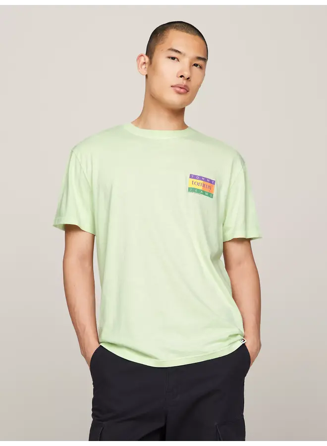 T-shirt DM0DM19171 - LXY Opal Green