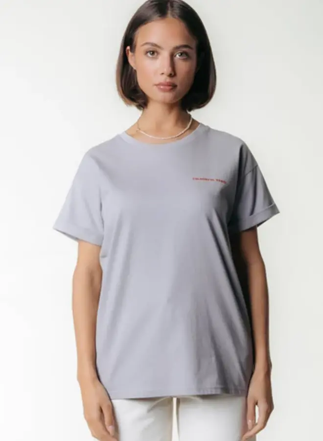 Colourful Rebel T-shirt Tropical WT116891 Tee - 214 Light Grey