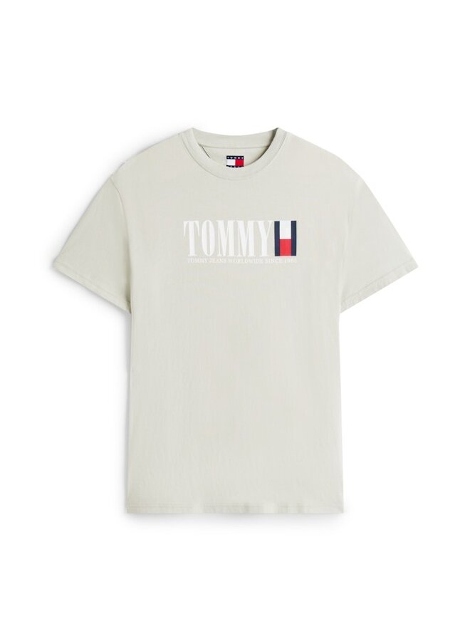 T-shirt TJM REG DM0DM21941 - M1C Misty Sage
