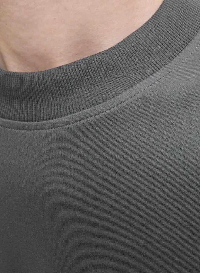 Jack & Jones T-shirt JPRBLACHAD 12259357 - Volcanic Ash