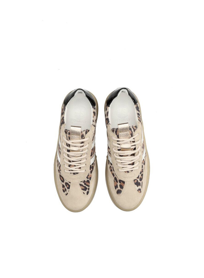 Poelman Sneaker ANEMONE-29POE7 - Beige / Brown.Black / Beige / White