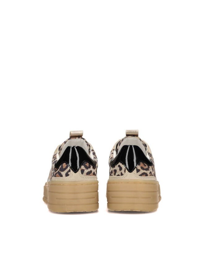 Poelman Sneaker ANEMONE-29POE7 - Beige / Brown.Black / Beige / White