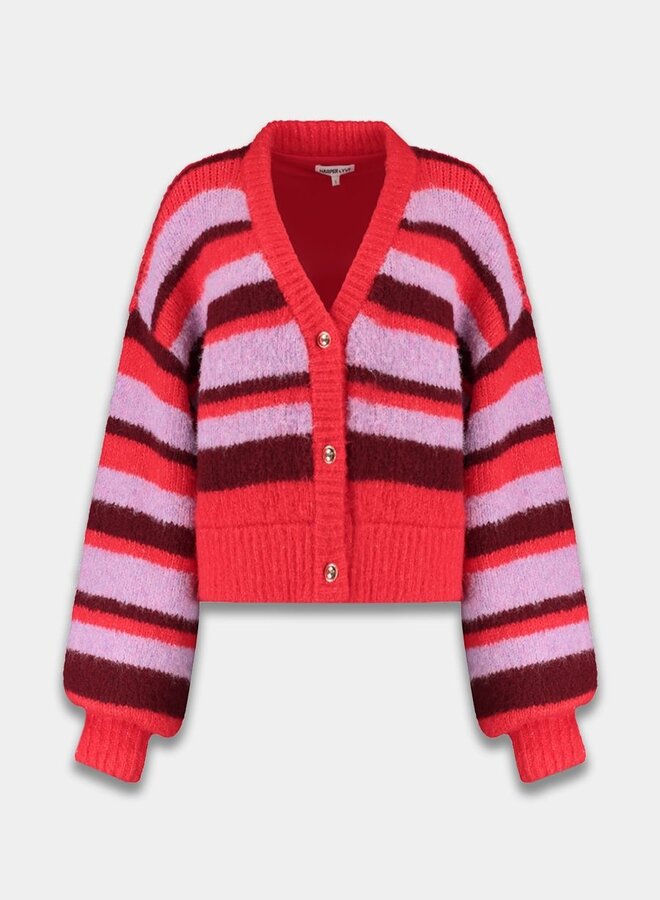 Harper and Yve Vest Noor AW25W800 - 1263 Stripe Multi