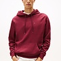 Tommy Hilfiger Trui DM0DM20742 - XIU Red Wine